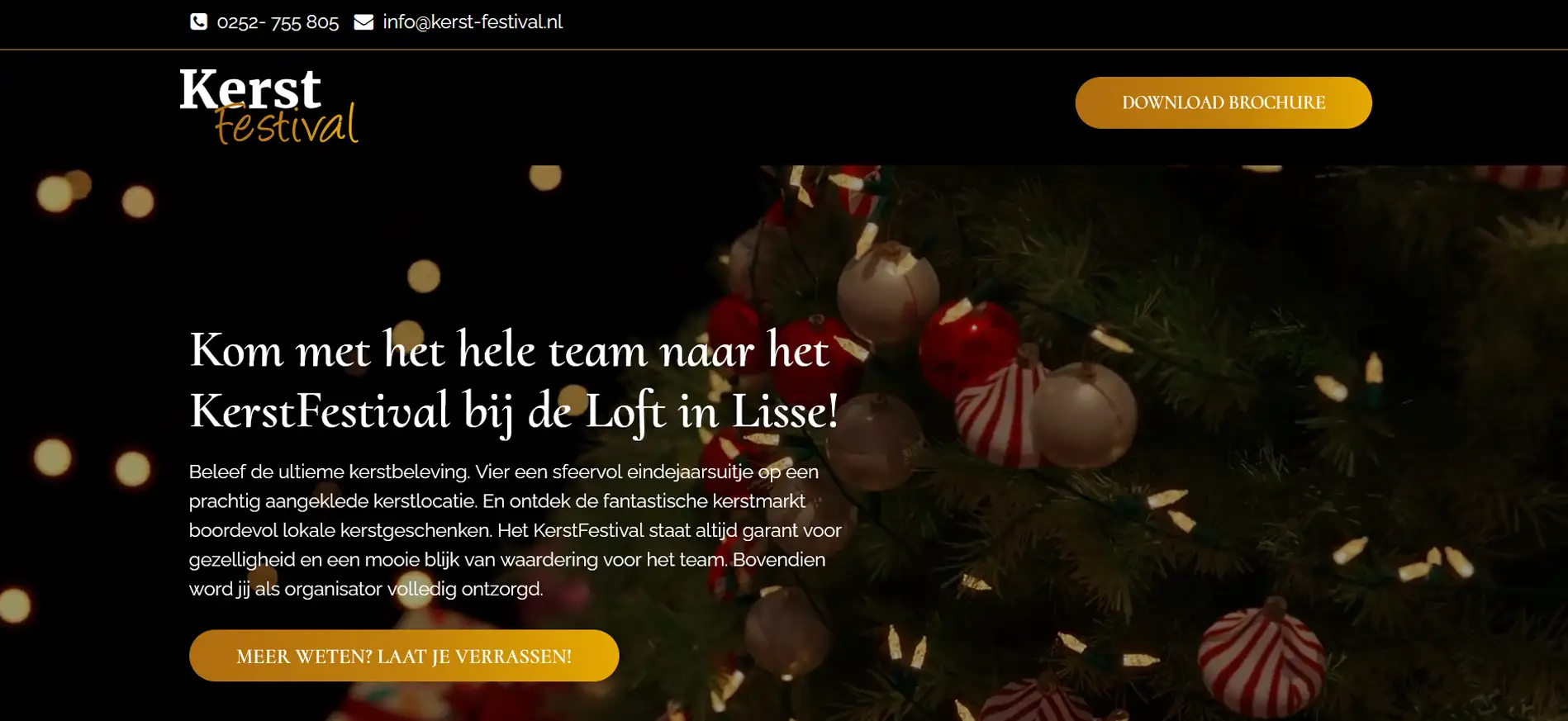 Website Kerstfestival Web Development