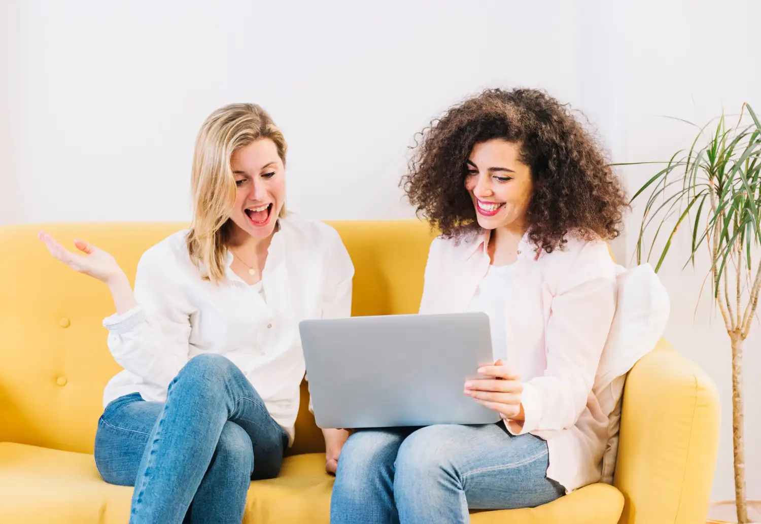 Portfolio websites bureau noort